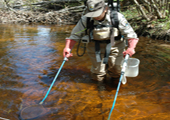 Lamprey Assessment - Electro-fishing 