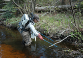 Lamprey Assessment - Electro-fishing