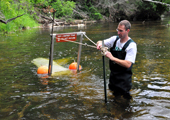 Sea Lamprey Transformer Net Test