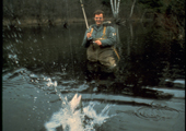 Fly Fishing in Stream