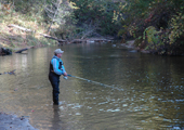 Fly Fisherman