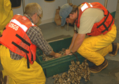 Lake Huron Sampling