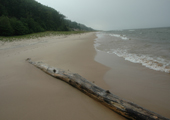 Lake Michigan Foggy Shore