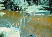 Old Electric Sea Lamprey Barrier